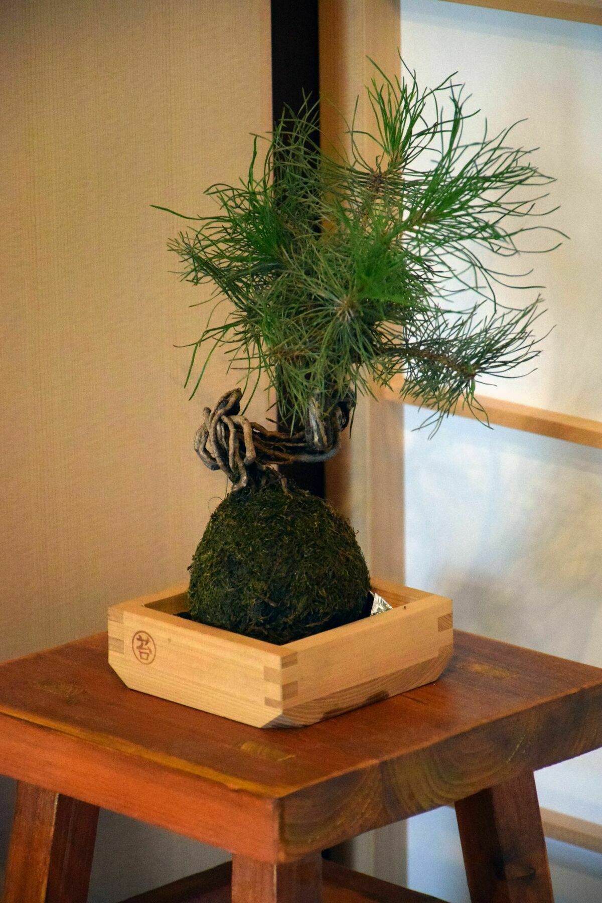 Guesthouse Hanamiya Kyōto Exterior foto
